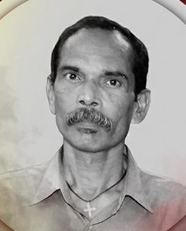 நாகலிங்கள்.பத்மநாதன்