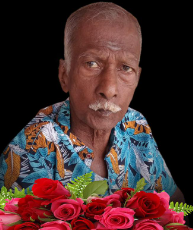 தாமோதரம்பிள்ளை செல்வவேலாயுதம்