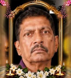 கனகசபை தர்மசூரியர் (சூரியா)
