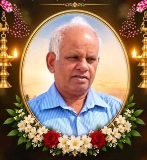 நடராசா விஸ்வநாதபிள்ளை (தம்பி அண்ணா)