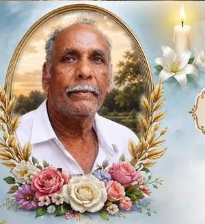 பேதுருபிள்ளை பாக்கியநாதன்