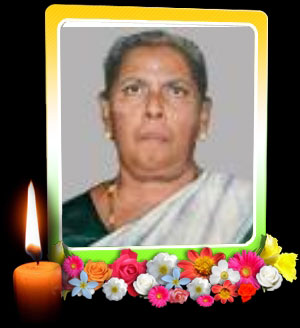 சரஸ்வதி தனபாலசிங்கம்