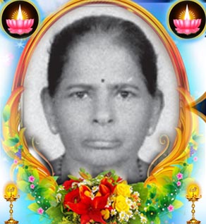 S. Saraswathy
