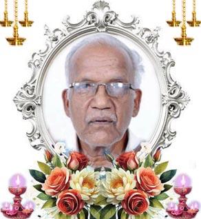 சின்னத்துரை நாகராஜா